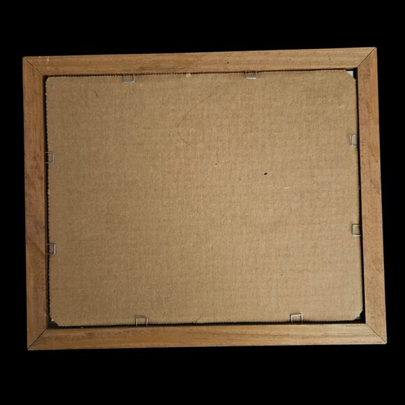 Pair Framed Duck Prints by Nichols – Wood Ducks & Pintails Waterfowl Art 10x12 - Picture 7 of 7